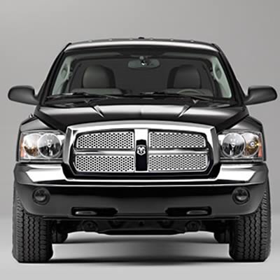 Punch Style Stainless Steel Grille Insert 05-07 Dodge Dakota